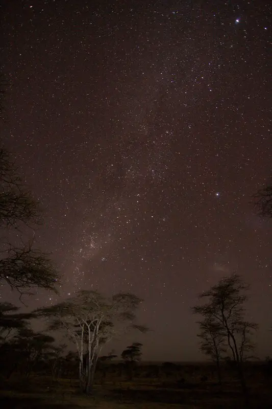 Night shot of stars in the Serengeti Tanzania
