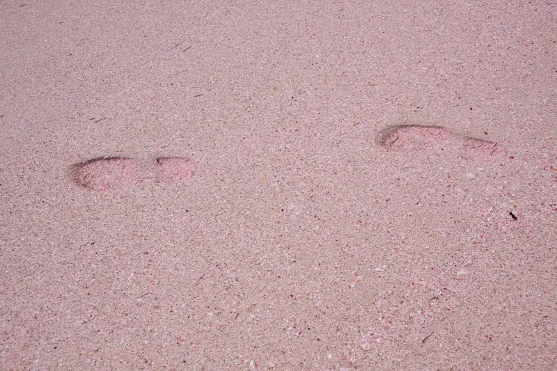 Barbuda pink footprints