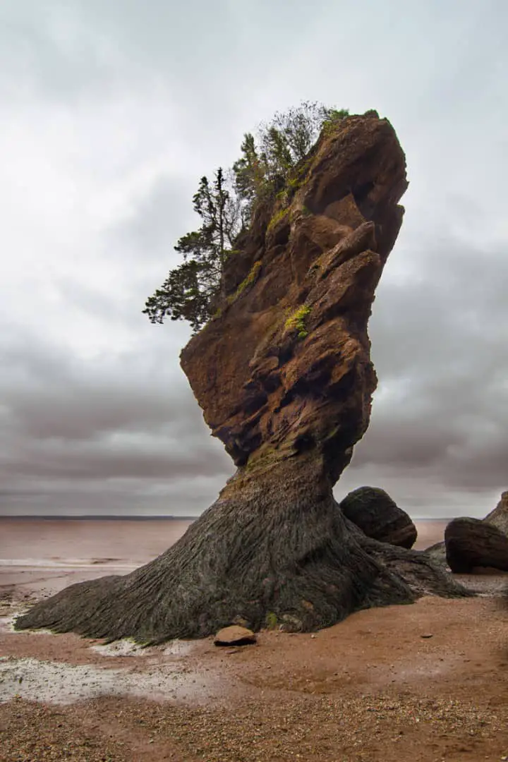 Dramatic Rock on ocean floor at Hopewell Cape New Brunswick