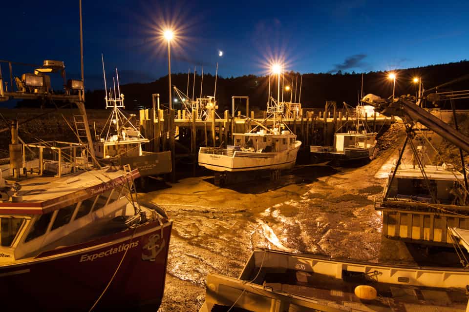 Alma's wharf midnight, low tide