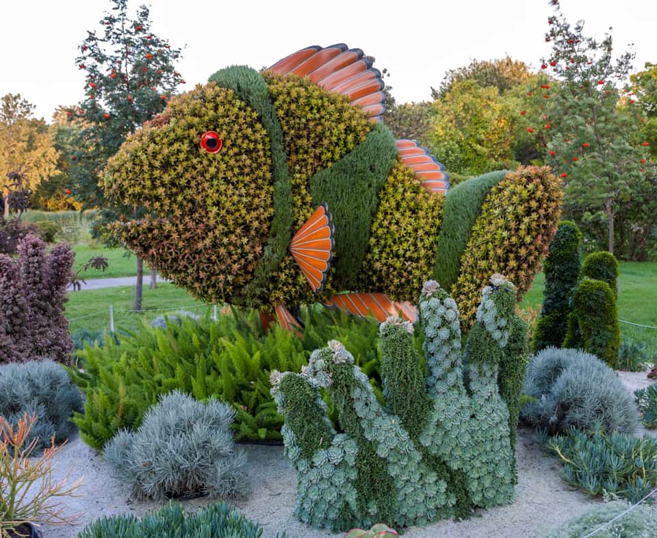 Finding Nemo in this Japanese entry