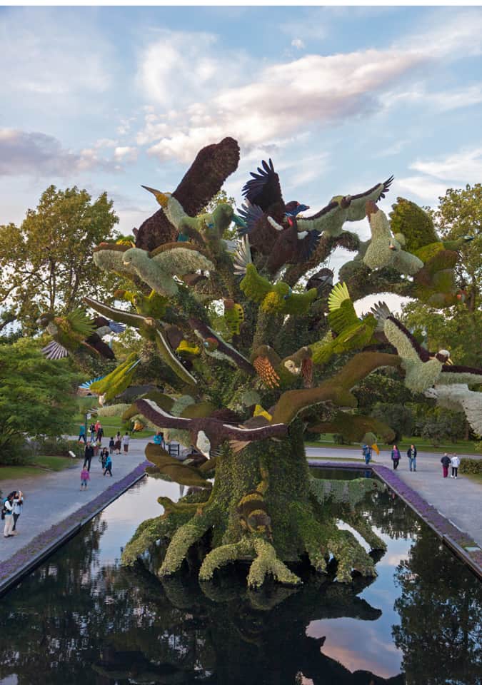 The Bird Tree - Six stories tall and filled with birds and birdsong