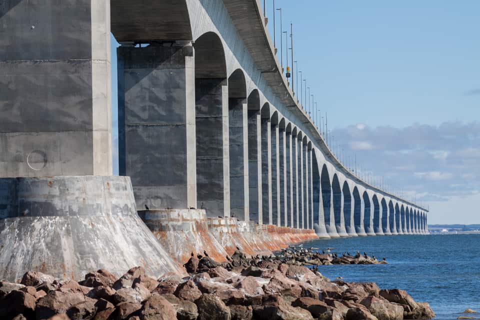 Cormorants make the bridge footings their habitat at low tide
