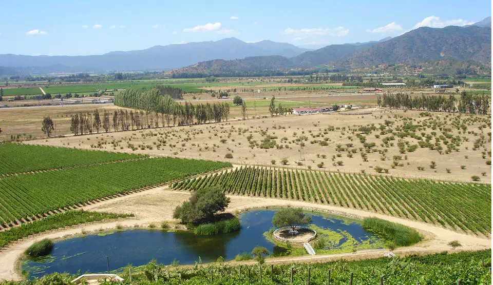 Visit the wine region of the Casablanca Valley 75km northwest of Santiago
