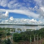 Avoiding the Amazon’s “Tiny 5”