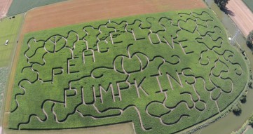 Every year a new corn maze design appears.