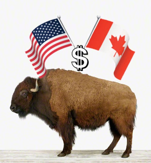 Cross-Border Bargains are in Buffalo