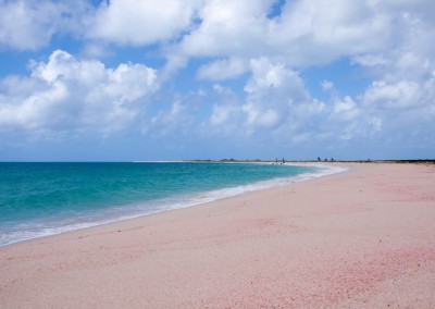 Barbuda's Pink Beach