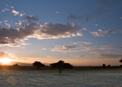 Tanzania Serengeti Dawn