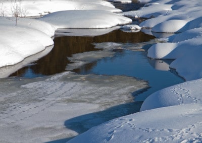 Ontario Frozen Stream with animal tracks in snow