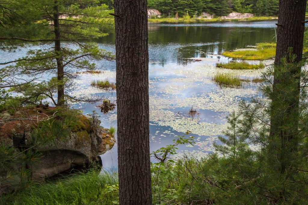 Day Trips from Sudbury_Point Grenadine Park Killarney
