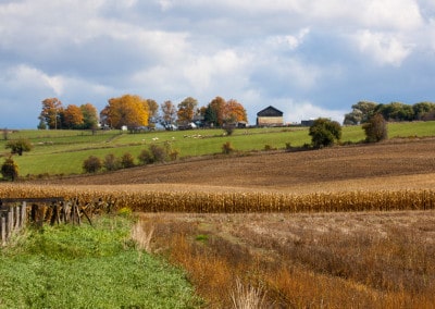 Ontario farmland