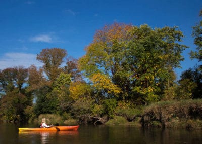 Kayaking Beaver River
