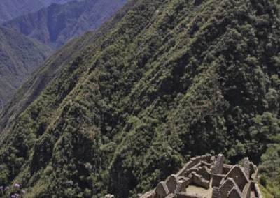 terraced houses at Winay Wayna Inca Trail Peru
