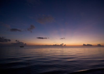 Zanzibar Pongwe dawn