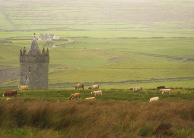 Irish pastures near Cliffs of Moher