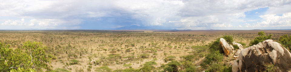 Tanzania Serengeti panorama