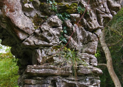 Ruined stone archway Ireland