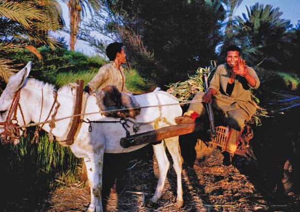 rural egypt