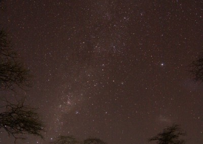 Tanzania starry nights