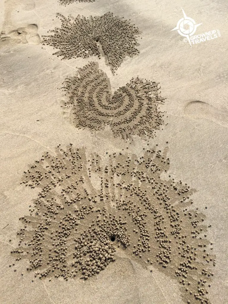 Ngapali sand art