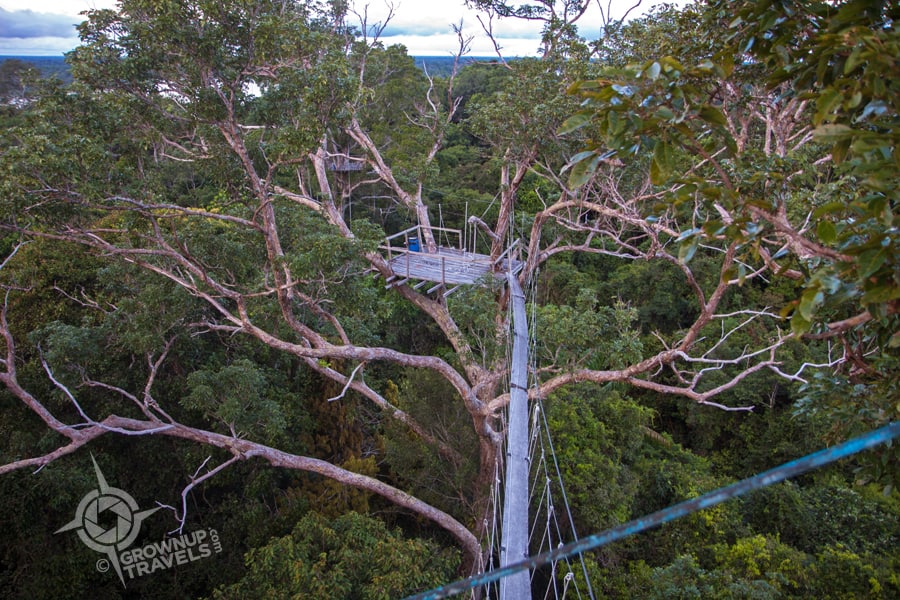 canopy plank