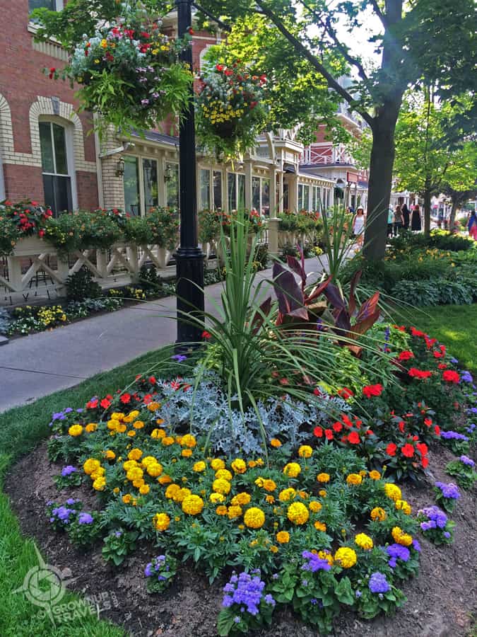 NOTL sidewalk flowers