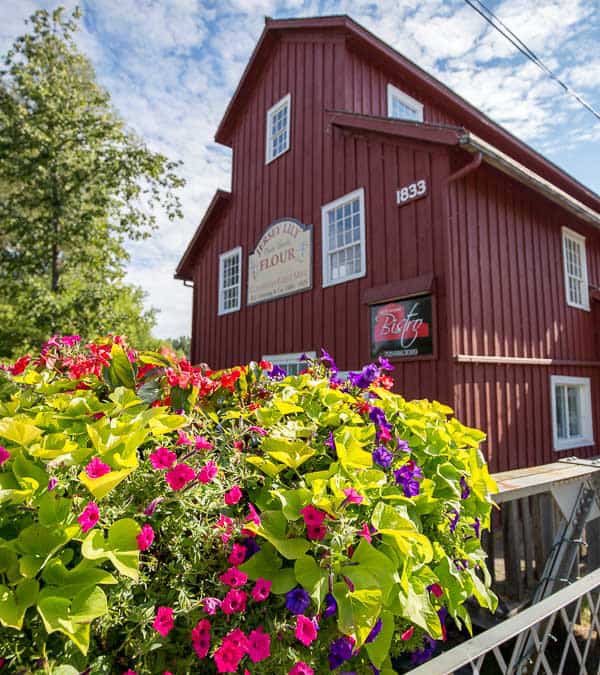 Review of The Mill Street Bistro, Coldwater