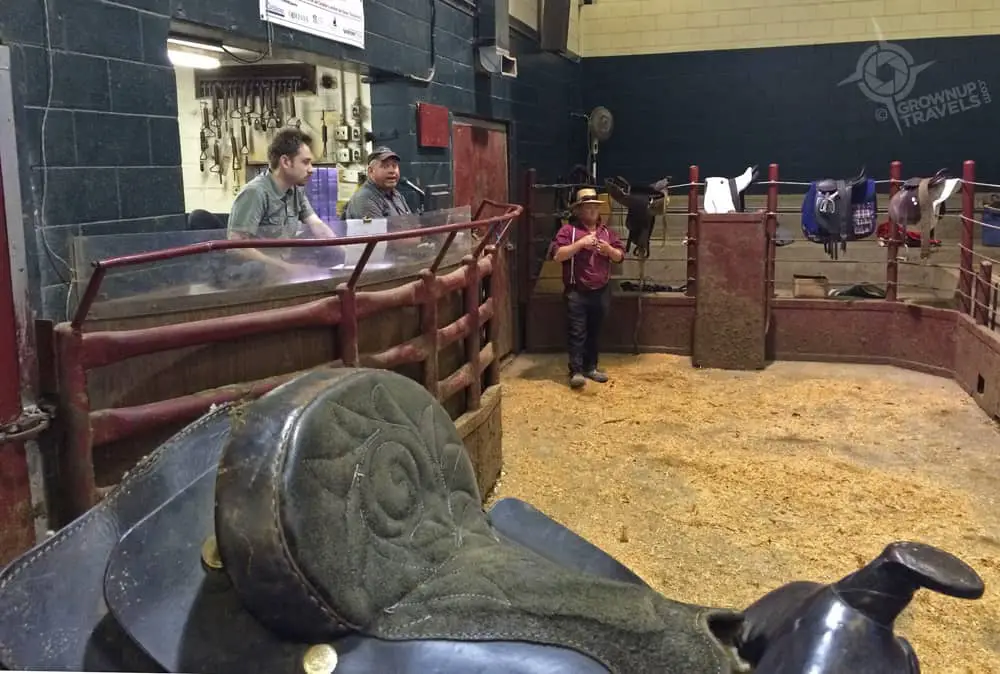 Saddles up for auction at St. Jacob's