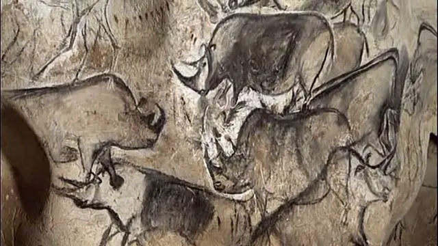 Rhinos in Chauvet cave