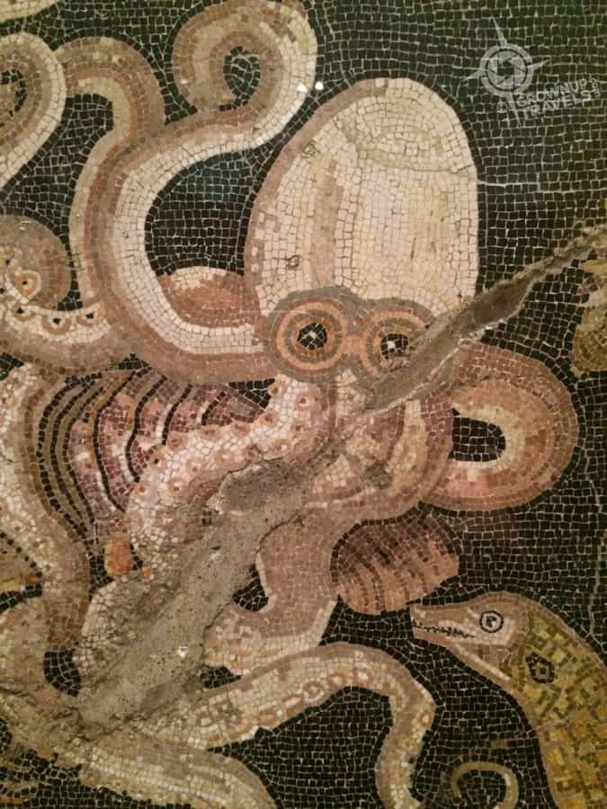 Octopus mosaic Pompeii Exhibit at the ROM