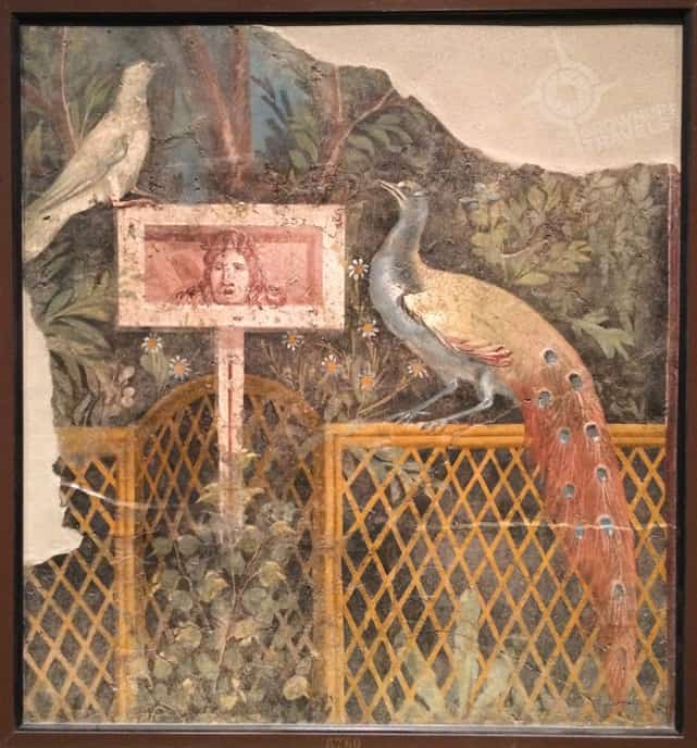 Peacock fresco Pompeii Exhibit at the ROM