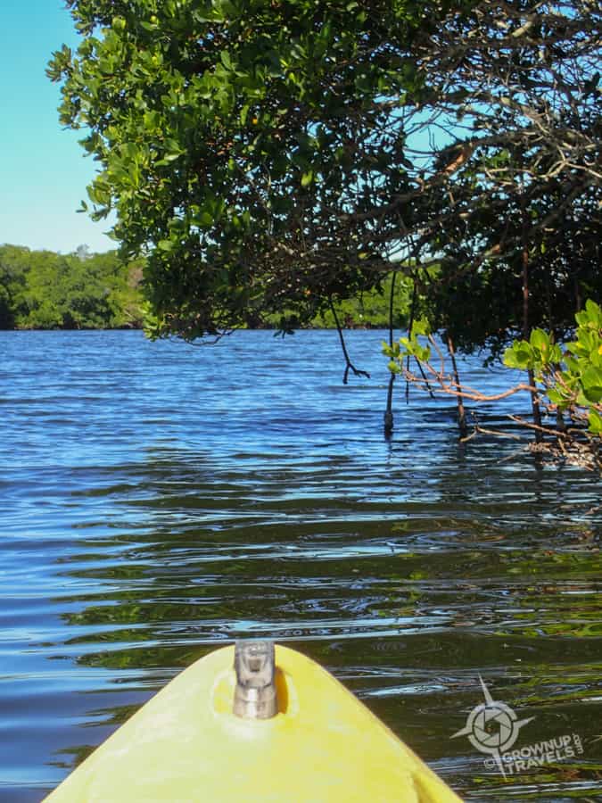 Fort de Soto Kayaking in the Mangroves