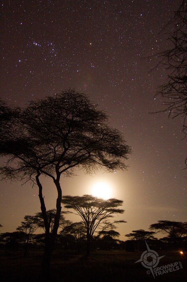 Tanzania Serengeti moon