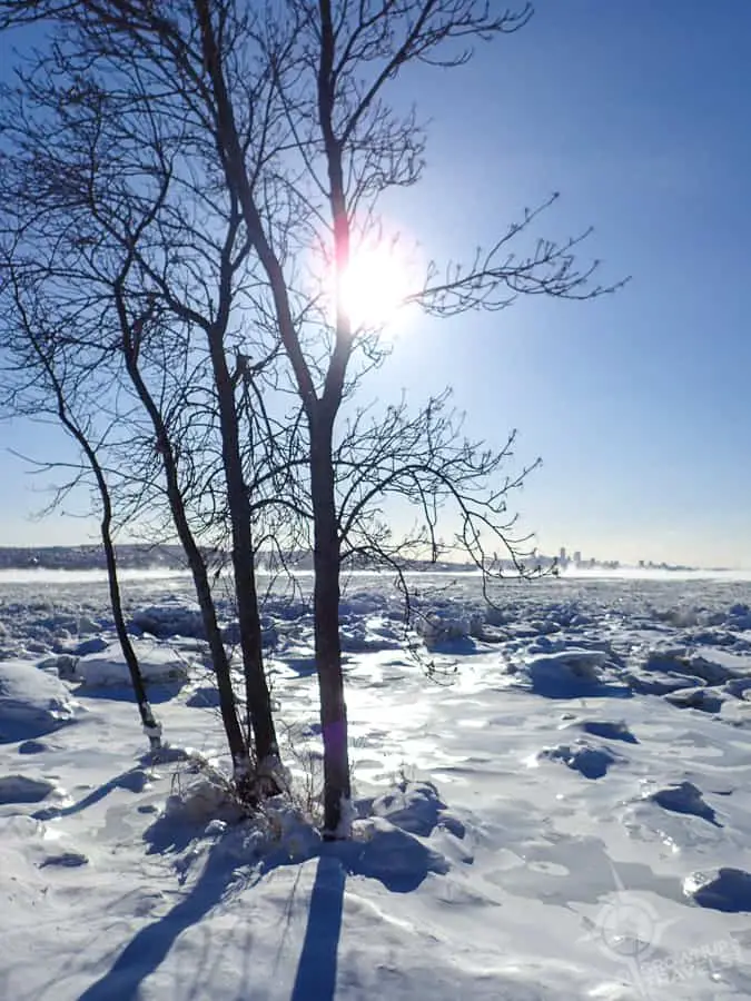 Trees and frozen St. Lawrence river
