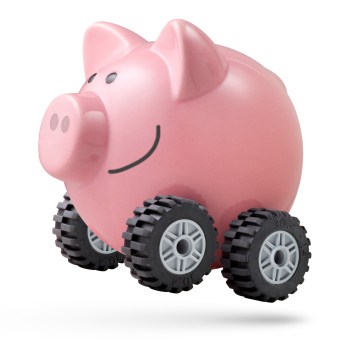 Happy pig on wheels
