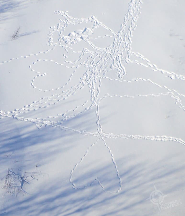 Que heart shapes snow