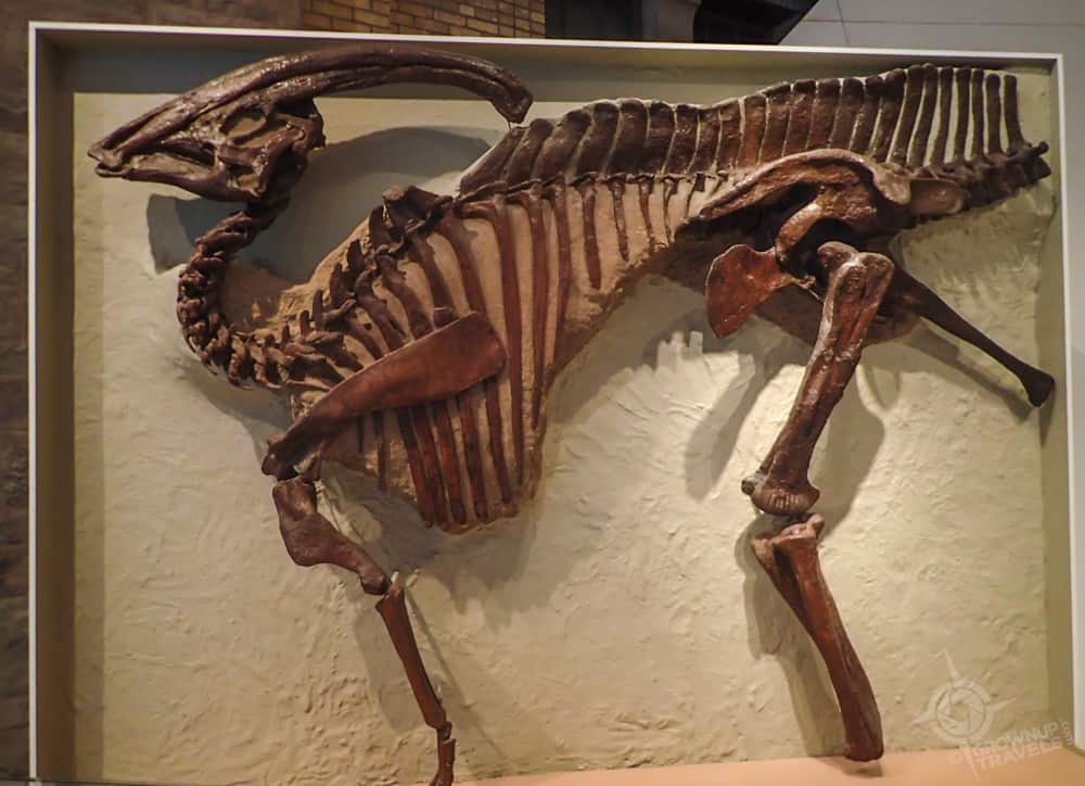 ROM 6 foot dino