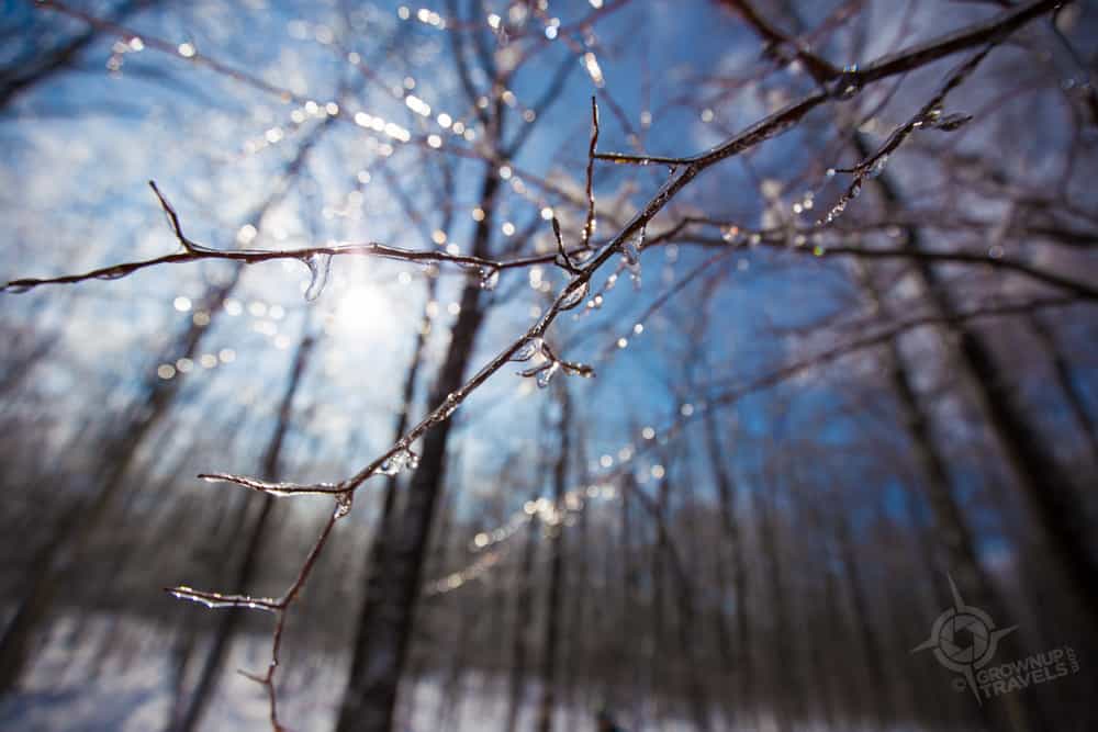 Viamede blue sky twinkle