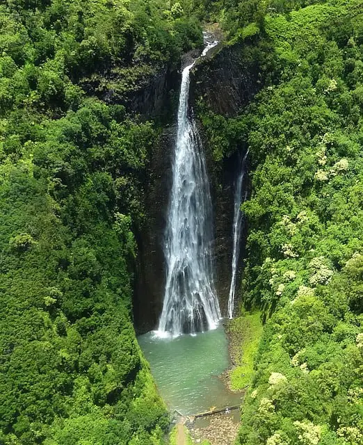 Jurassic Waterfall Kauai