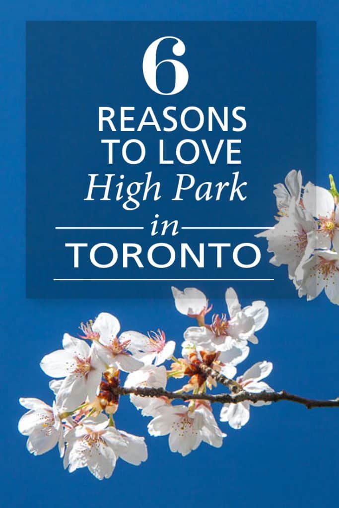 PINTEREST_High Park toronto