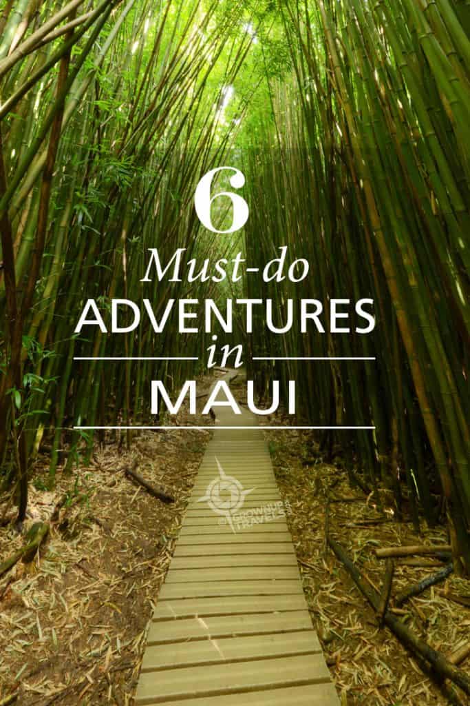 PINTEREST_Maui adventures