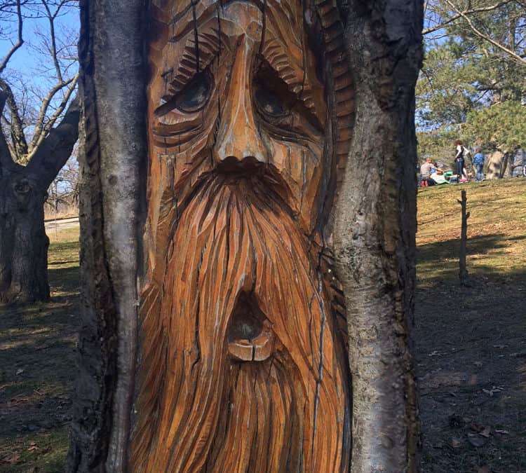 6 Reasons to love Toronto’s High Park
