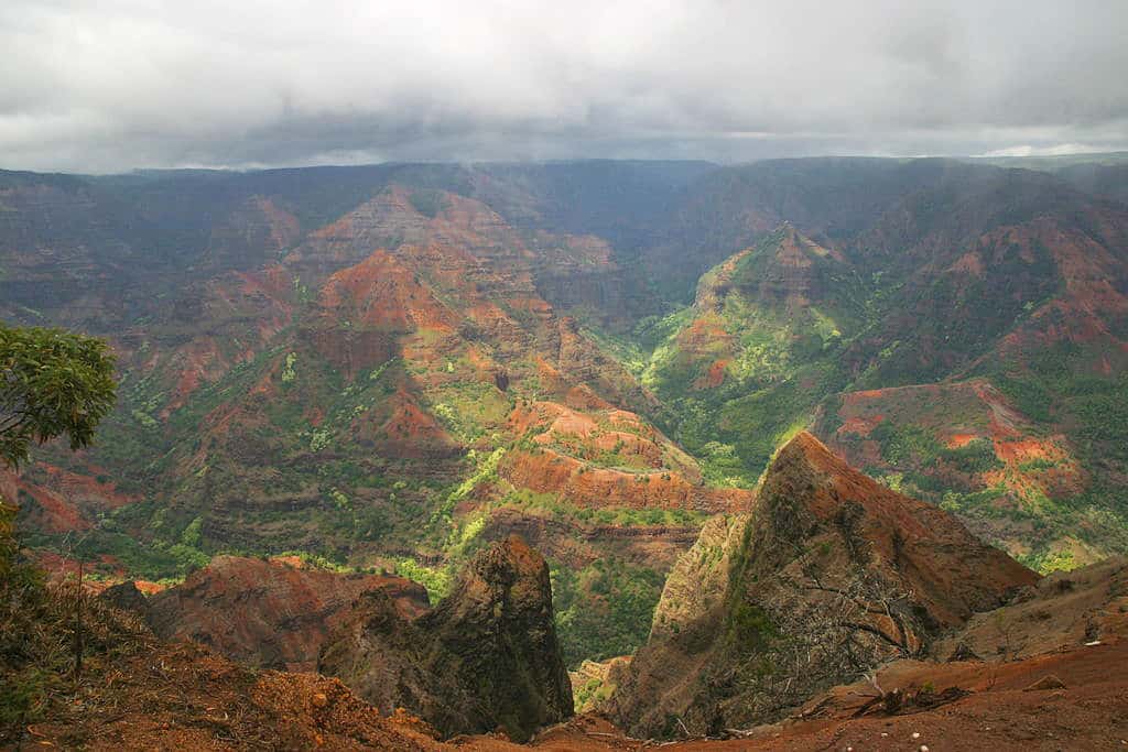 waimea canyon public domain