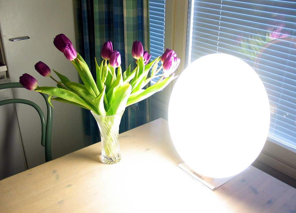 Bright_light_therapy_lamp