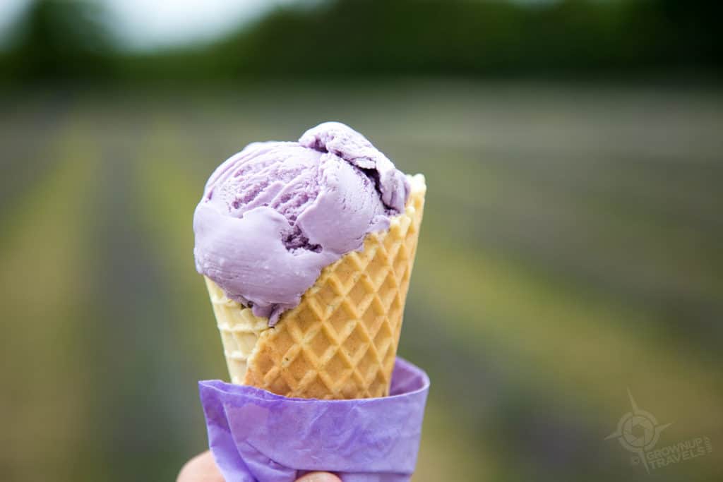 Terre Bleu Lavender farm Ice cream