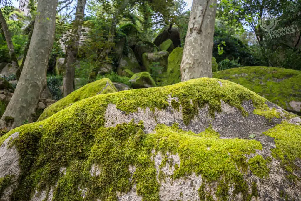 Giant moss-covered boulders Moorish Castle