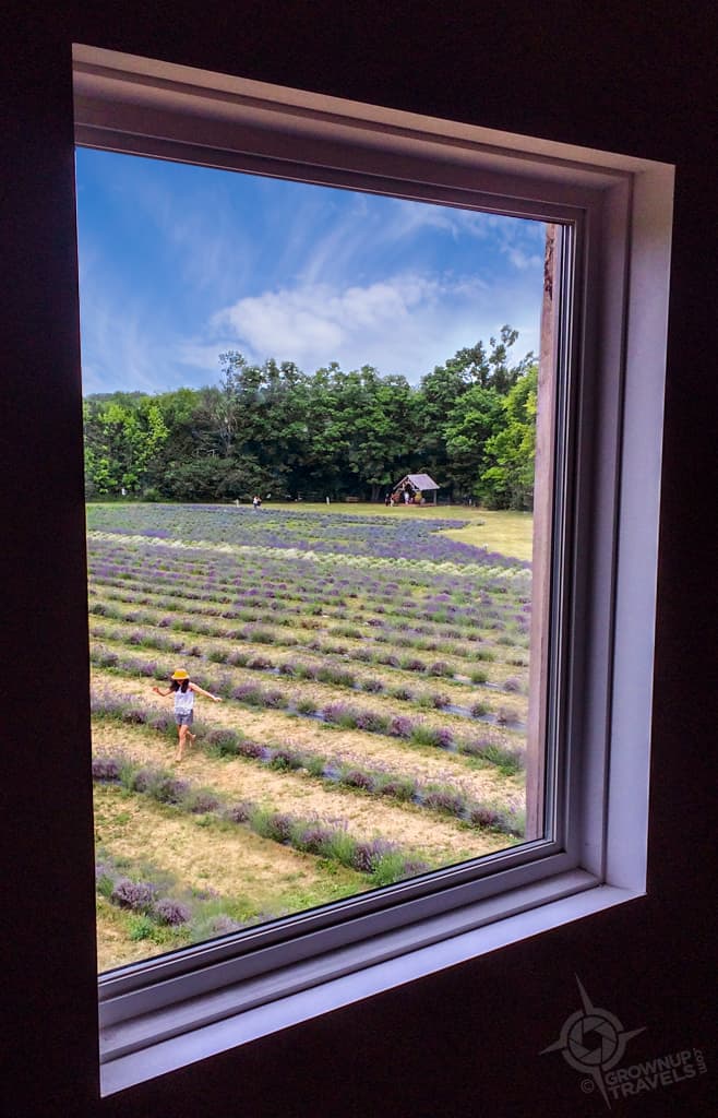 Terre Bleu window fields