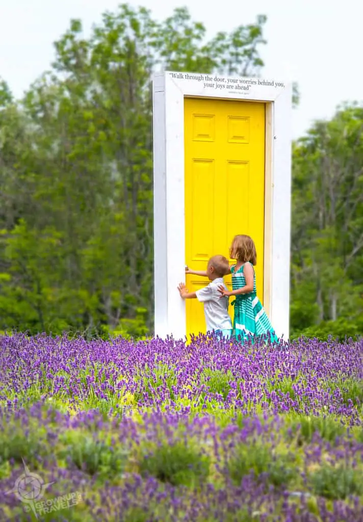 children door lavender field