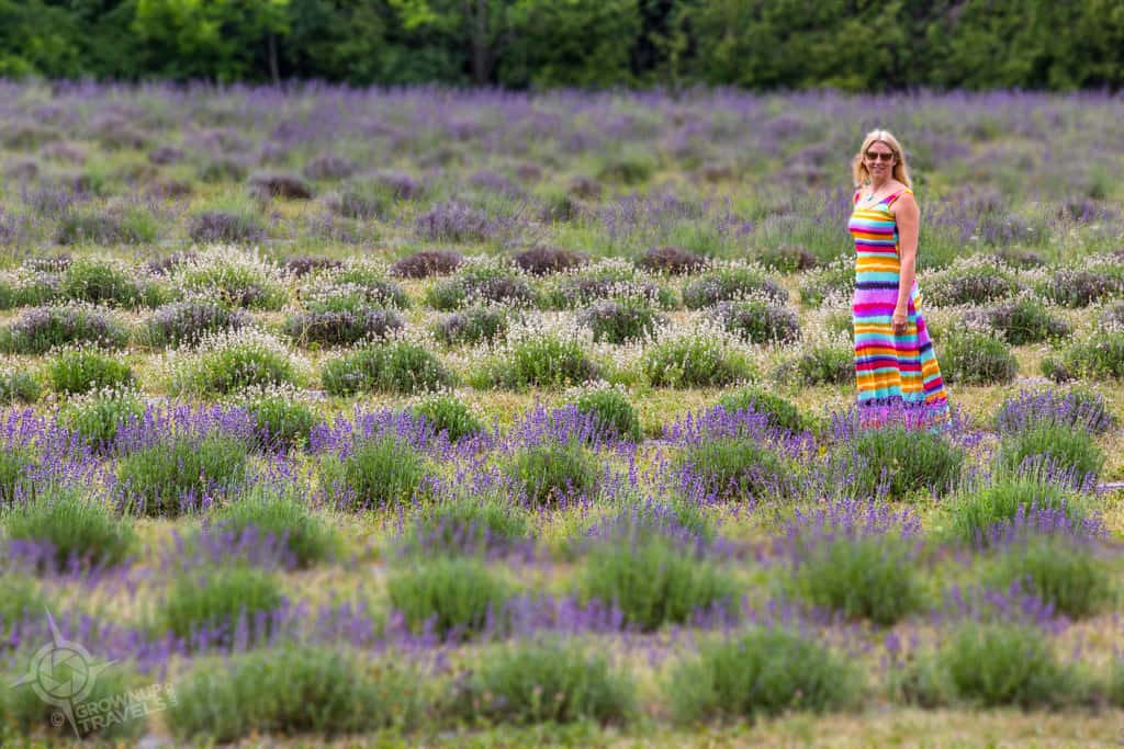 jane in lavender field